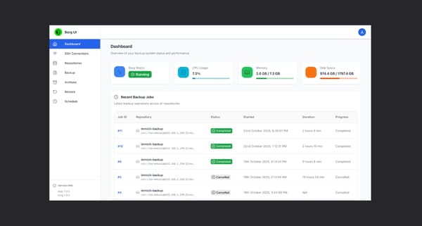 Borg UI para copias de seguridad